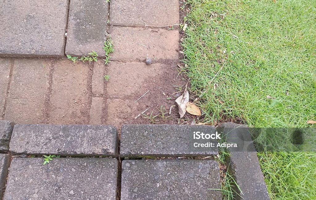 Inspection and Evaluation